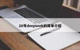 28号deepseek的简单介绍