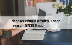 deepseek为啥搜索的很慢(deep search 深度搜索app)