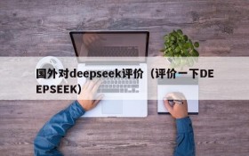 国外对deepseek评价（评价一下DEEPSEEK）
