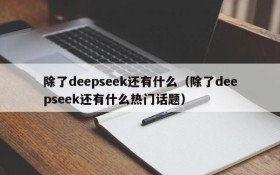 除了deepseek还有什么（除了deepseek还有什么热门话题）