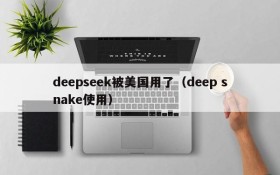deepseek被美国用了(deep snake使用)