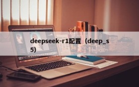 deepseek-r1配置(deep_s5)