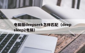 电脑版deepseek怎样匹配(deepsleep2电脑)