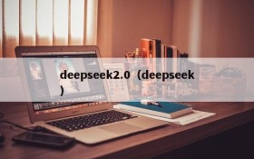 deepseek2.0（deepseek）