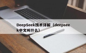 DeepSeek技术详解（deepseek中文叫什么）