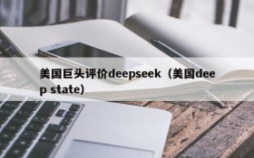 美国巨头评价deepseek（美国deep state）