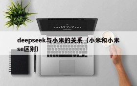 deepseek与小米的关系(小米和小米se区别)