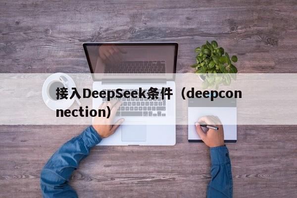 接入DeepSeek条件（deepconnection）