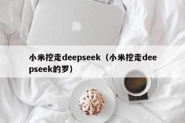 小米挖走deepseek（小米挖走deepseek的罗）