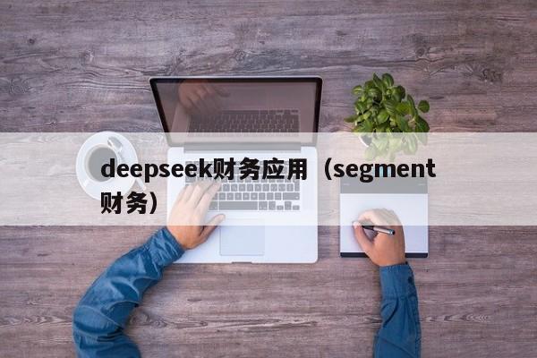 deepseek财务应用（segment财务）