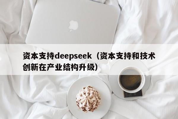 资本支持deepseek（资本支持和技术创新在产业结构升级）