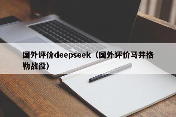 国外评价deepseek（国外评价马井格勒战役）