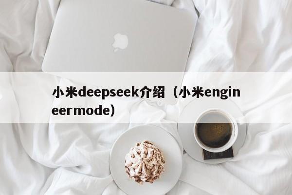 小米deepseek介绍（小米engineermode）