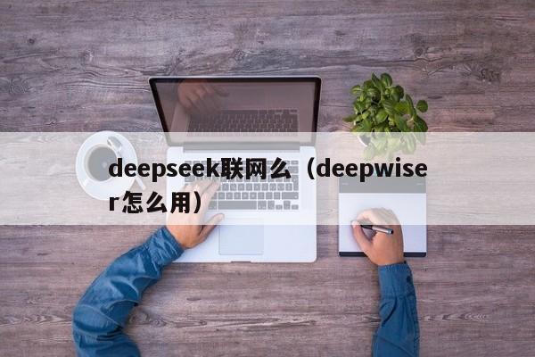 deepseek联网么（deepwiser怎么用）