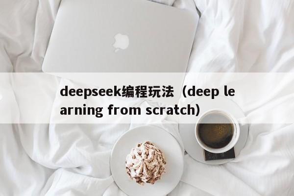 deepseek编程玩法（deep learning from scratch）