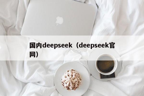 国内deepseek（deepseek官网）