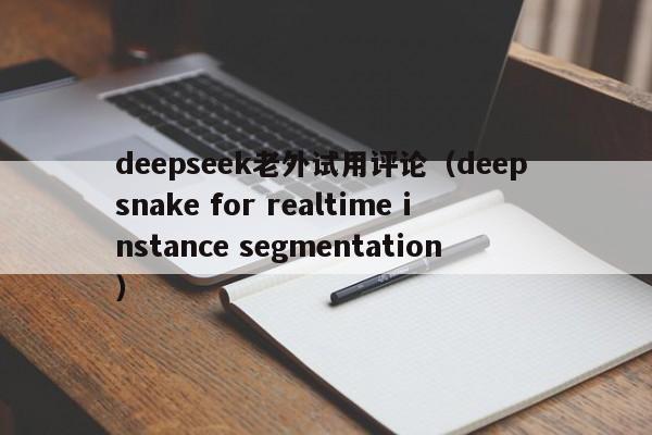 deepseek老外试用评论（deep snake for realtime instance segmentation）