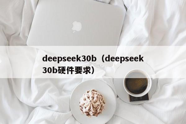 deepseek30b（deepseek30b硬件要求）