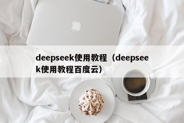 deepseek使用教程（deepseek使用教程百度云）