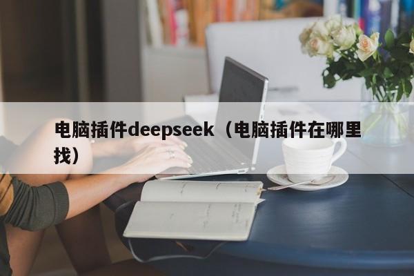 电脑插件deepseek（电脑插件在哪里找）