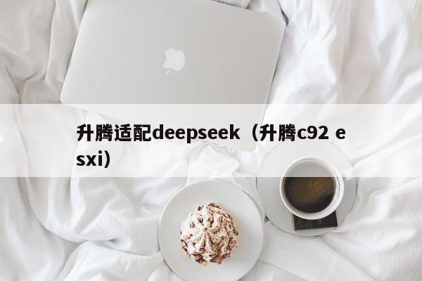 升腾适配deepseek（升腾c92 esxi）