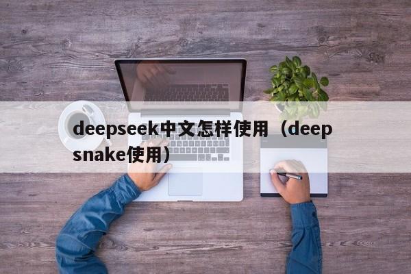 deepseek中文怎样使用（deep snake使用）