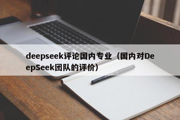 deepseek评论国内专业（国内对DeepSeek团队的评价）