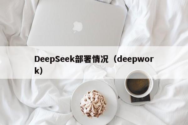 DeepSeek部署情况（deepwork）