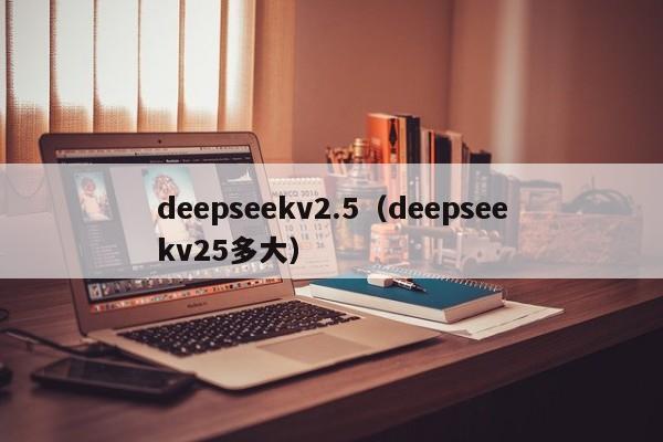 deepseekv2.5（deepseekv25多大）