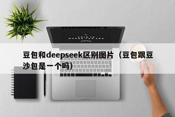 豆包和deepseek区别图片（豆包跟豆沙包是一个吗）