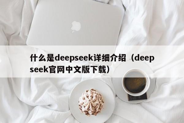什么是deepseek详细介绍（deepseek官网中文版下载）