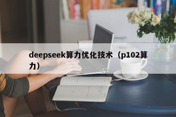 deepseek算力优化技术（p102算力）