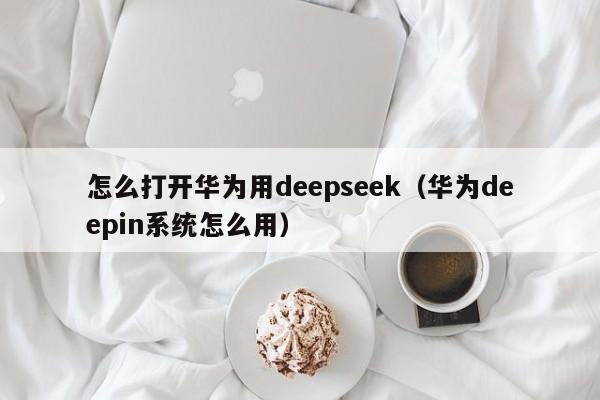 怎么打开华为用deepseek（华为deepin系统怎么用）