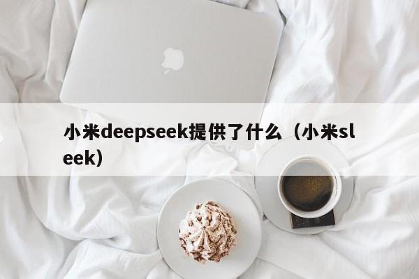小米deepseek提供了什么（小米sleek）