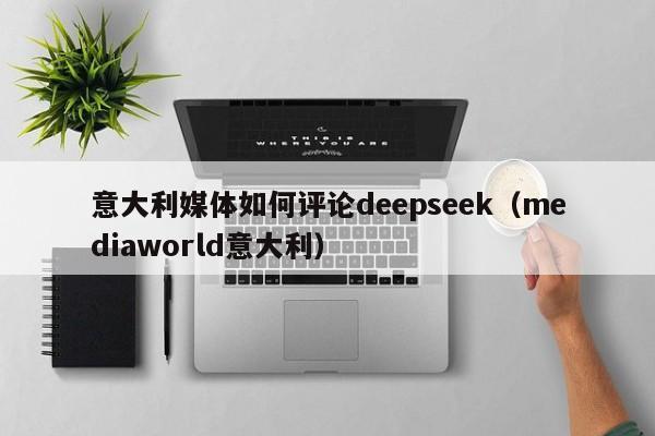 意大利媒体如何评论deepseek（mediaworld意大利）