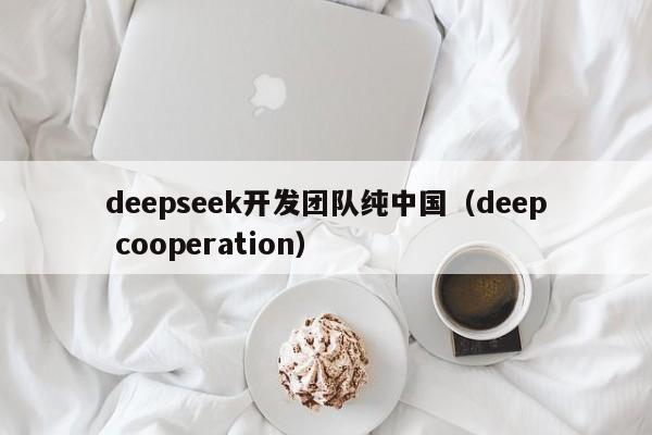 deepseek开发团队纯中国（deep cooperation）