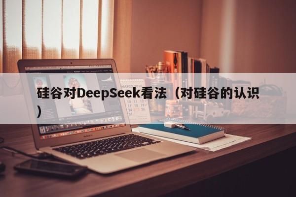 硅谷对DeepSeek看法（对硅谷的认识）