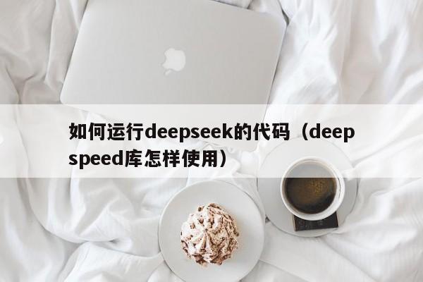 如何运行deepseek的代码（deepspeed库怎样使用）