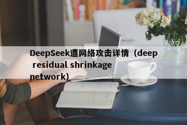 DeepSeek遭网络攻击详情（deep residual shrinkage network）