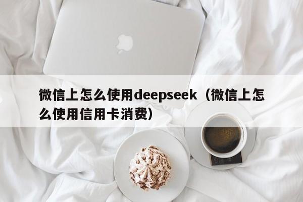 微信上怎么使用deepseek（微信上怎么使用信用卡消费）