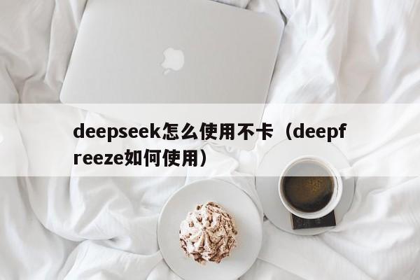 deepseek怎么使用不卡（deepfreeze如何使用）