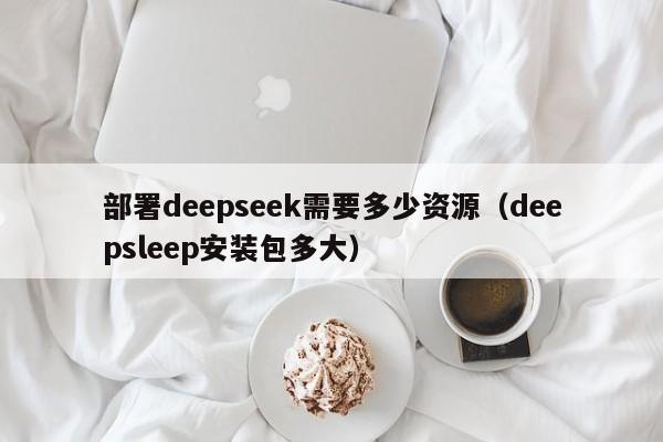 部署deepseek需要多少资源（deepsleep安装包多大）