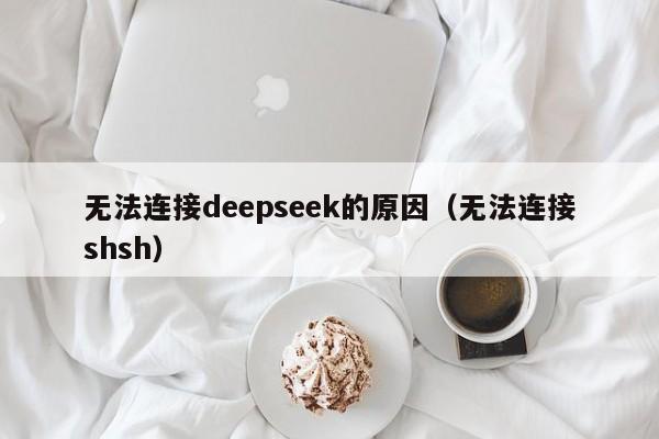 无法连接deepseek的原因（无法连接shsh）
