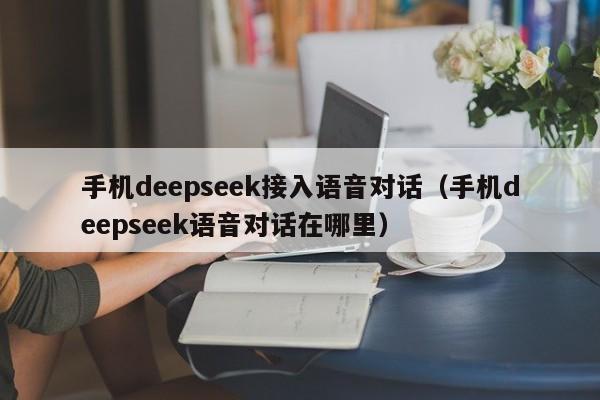手机deepseek接入语音对话（手机deepseek语音对话在哪里）