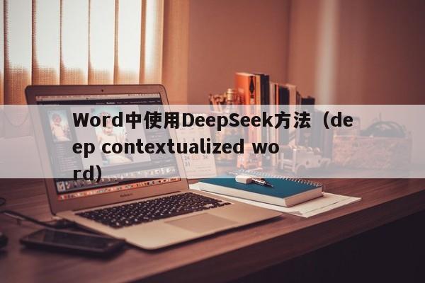 Word中使用DeepSeek方法（deep contextualized word）