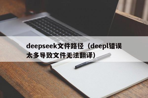 deepseek文件路径（deepl错误太多导致文件无法翻译）