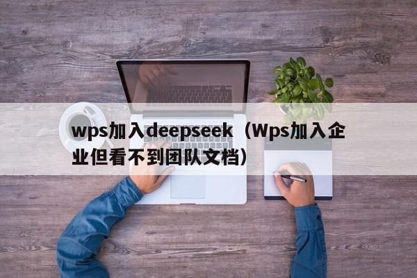 wps加入deepseek（Wps加入企业但看不到团队文档）