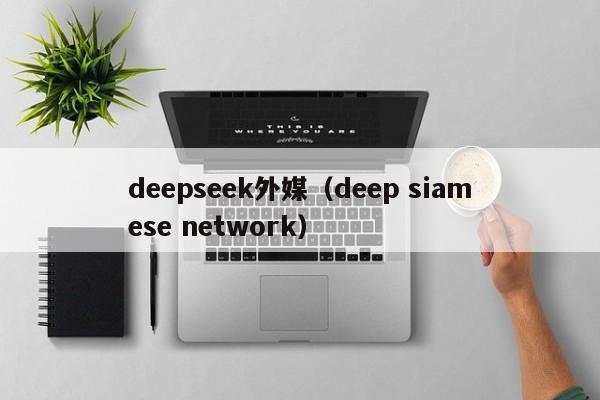 deepseek外媒（deep siamese network）