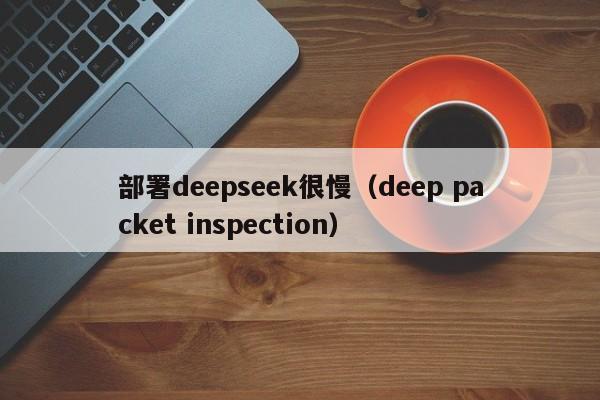 部署deepseek很慢（deep packet inspection）