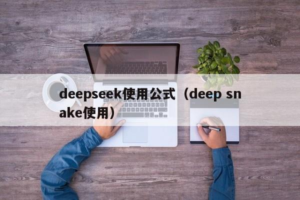 deepseek使用公式（deep snake使用）